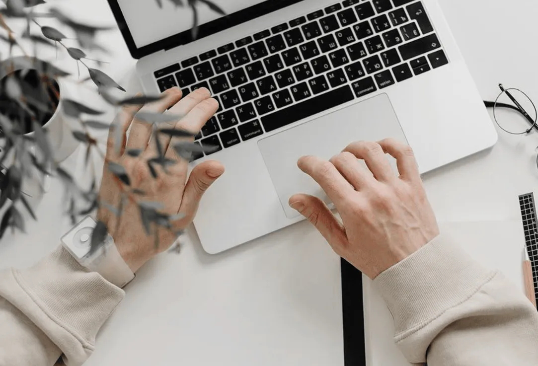 Playboy Job in India